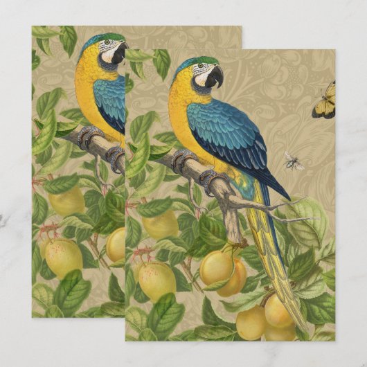 Macaw Classic Victorian Tropical Parrot and Lemon  (Front/Back)