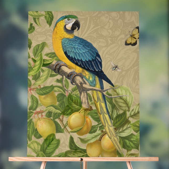 Macaw Classic Victorian Tropical Parrot and Lemon  Acrylic Sign (Neutral)