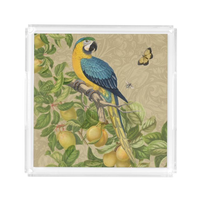 Macaw Classic Victorian Tropical Parrot and Lemon  Acrylic Tray (Front)
