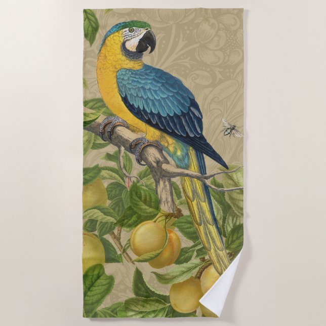 Macaw Classic Victorian Tropical Parrot and Lemon  Beach Towel (Front)