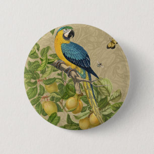 Macaw Classic Victorian Tropical Parrot and Lemon  Button