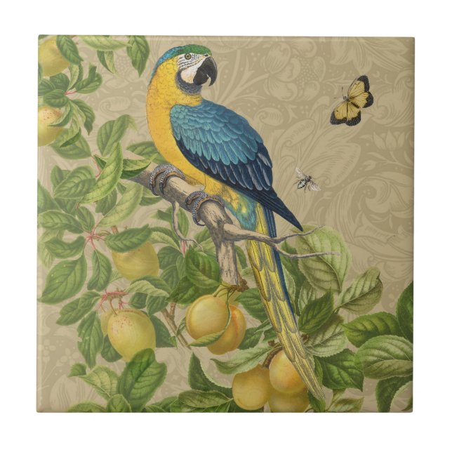 Macaw Classic Victorian Tropical Parrot and Lemon  Ceramic Tile (Front)