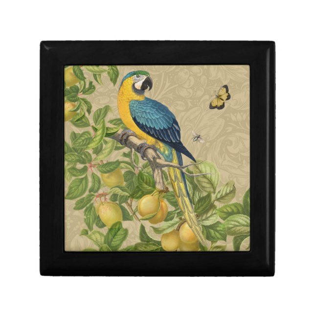 Macaw Classic Victorian Tropical Parrot and Lemon  Gift Box (Front)