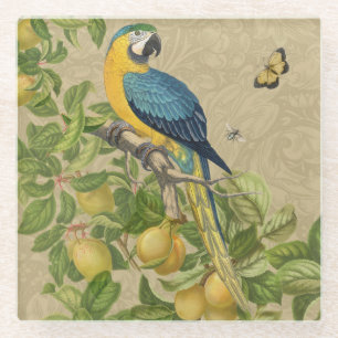 Macaw Classic Victorian Tropical Parrot and Lemon  Glass Coaster