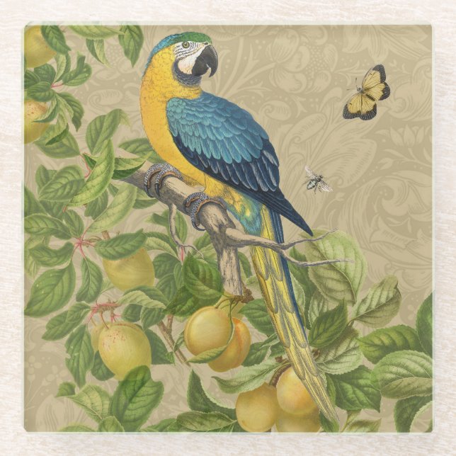 Macaw Classic Victorian Tropical Parrot and Lemon  Glass Coaster (Front)
