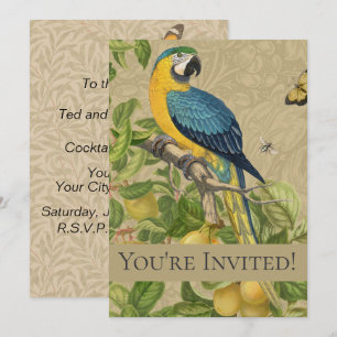 Macaw Classic Victorian Tropical Parrot and Lemon  Invitation