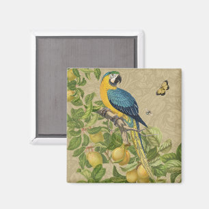 Macaw Classic Victorian Tropical Parrot and Lemon Magnet