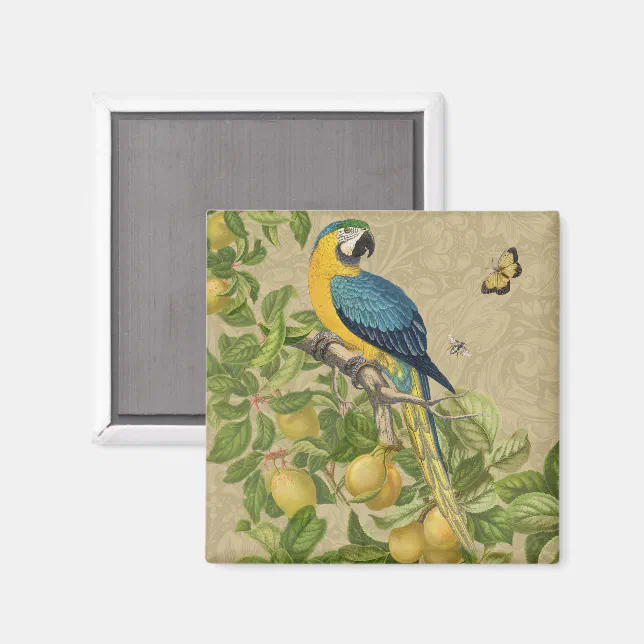 Macaw Classic Victorian Tropical Parrot and Lemon Magnet