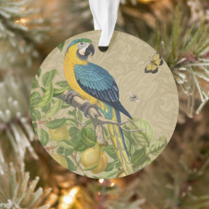 Macaw Classic Victorian Tropical Parrot and Lemon  Ornament