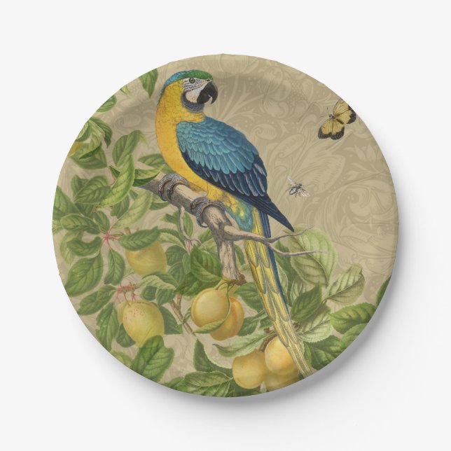Macaw Classic Victorian Tropical Parrot and Lemon  Paper Plates (Front)