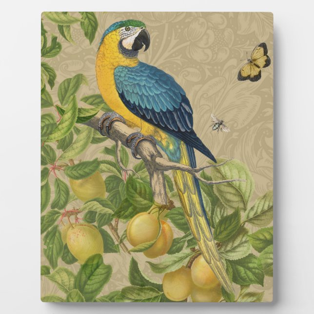 Macaw Classic Victorian Tropical Parrot and Lemon  Plaque (Front)