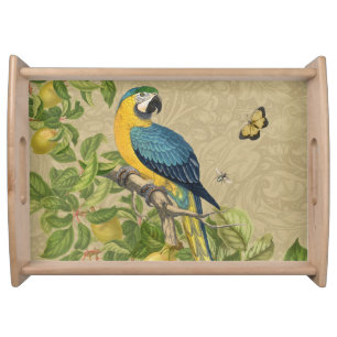 Macaw Classic Victorian Tropical Parrot and Lemon  Serving Tray