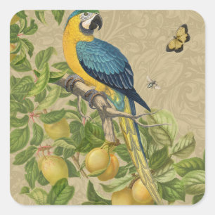 Macaw Classic Victorian Tropical Parrot and Lemon Square Sticker
