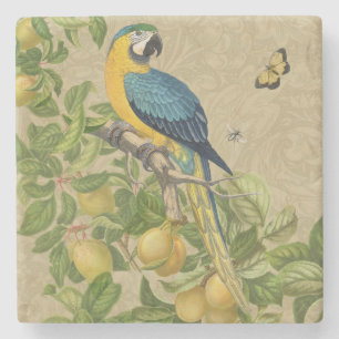 Macaw Classic Victorian Tropical Parrot and Lemon  Stone Coaster