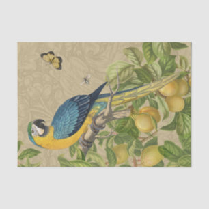 Macaw Classic Victorian Tropical Parrot and Lemon  Tissue Paper