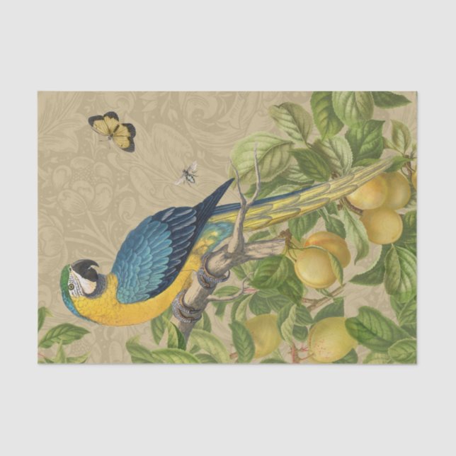 Macaw Classic Victorian Tropical Parrot and Lemon  Tissue Paper (Front)
