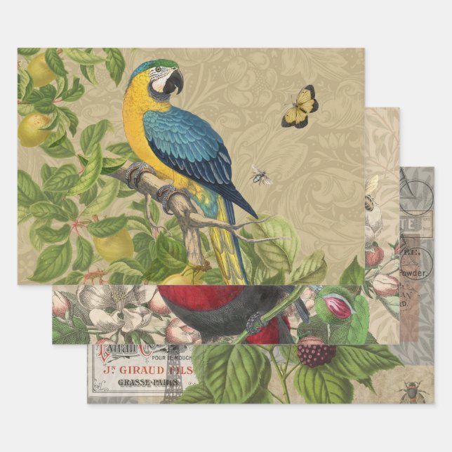Macaw Classic Victorian Tropical Parrot and Lemon  Wrapping Paper Sheets (Set)