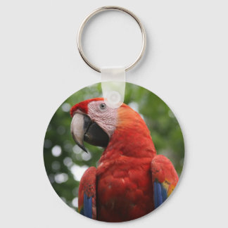 macaw face keychain