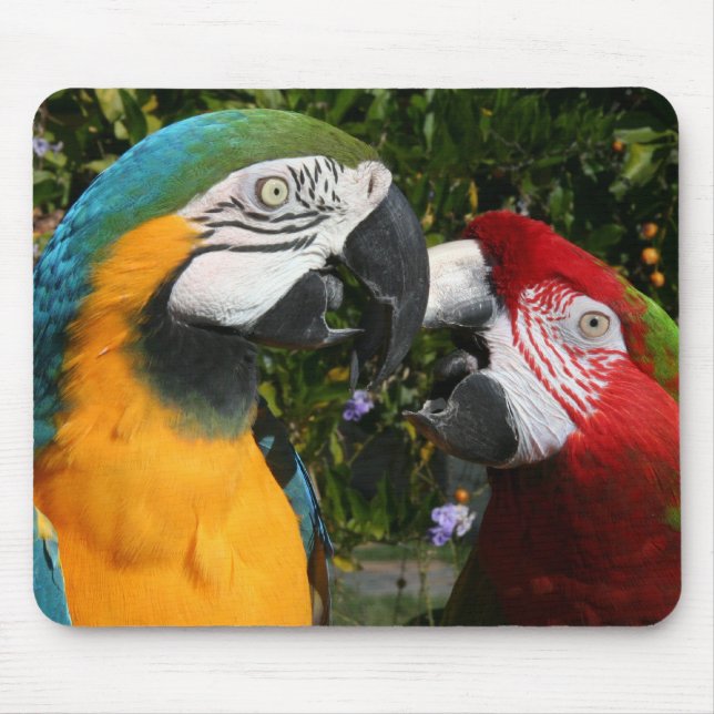 Macaw Friends Mousepad (Front)