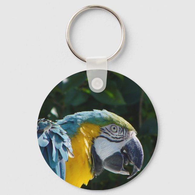 Macaw Key Chain (Front)