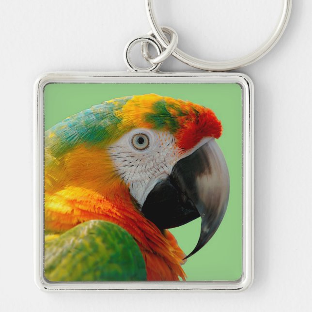 Macaw Keychain (Front)