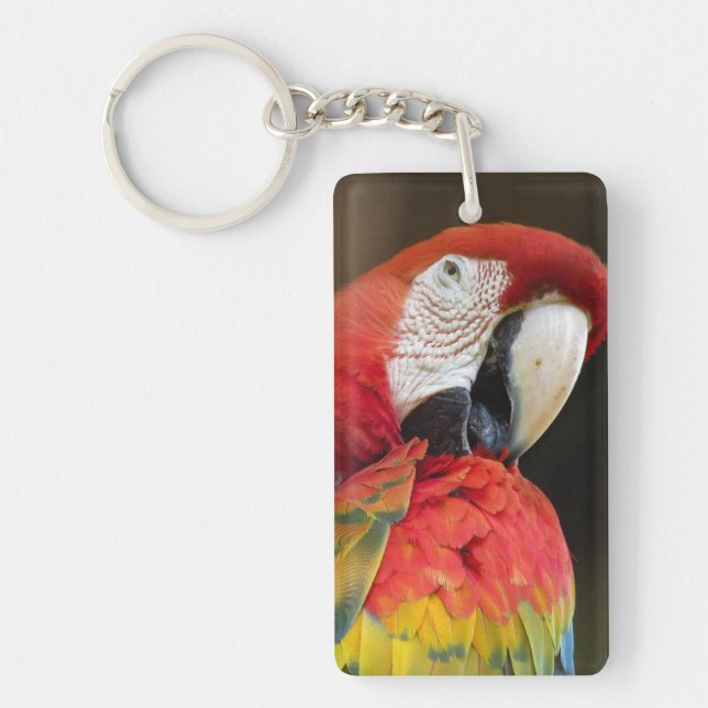 Macaw Keychain (Front)