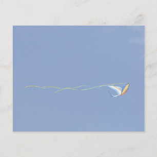 Macaw Kite