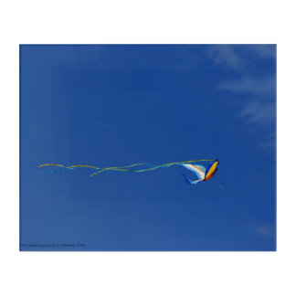Macaw Kite Acrylic Print