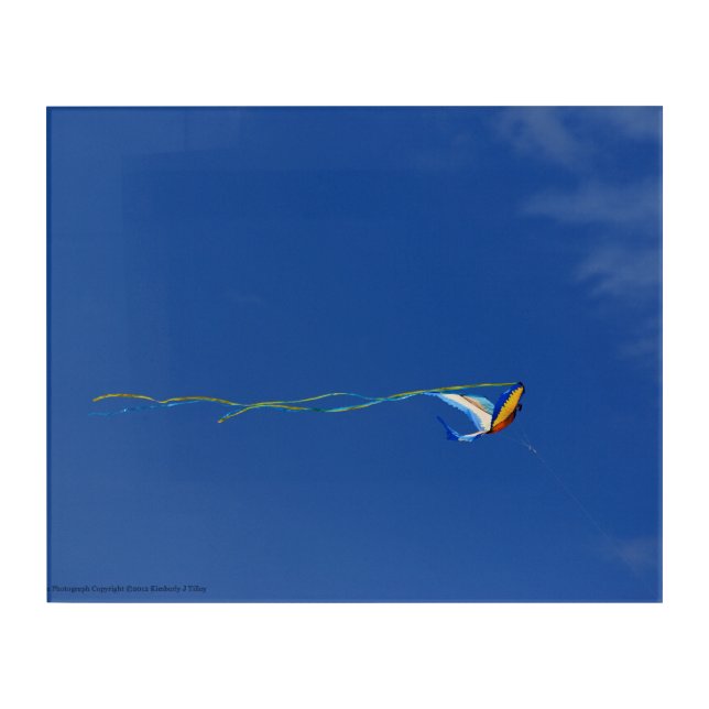 Macaw Kite Acrylic Print (Front)
