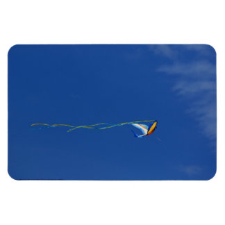 Macaw Kite Magnet
