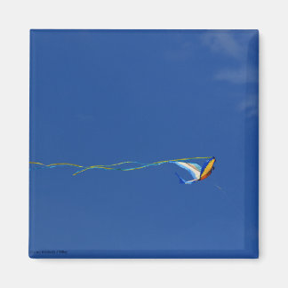 Macaw Kite Magnet