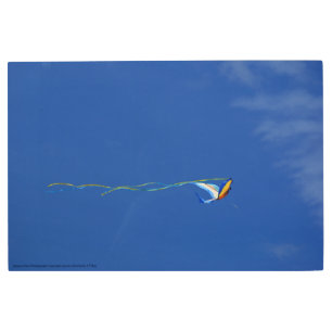 Macaw Kite Metal Print