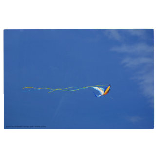 Macaw Kite Metal Print