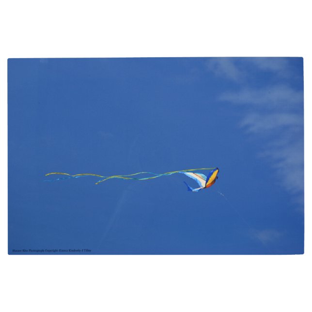 Macaw Kite Metal Print (Front)
