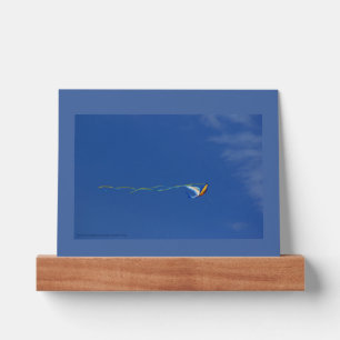 Macaw Kite Picture Ledge