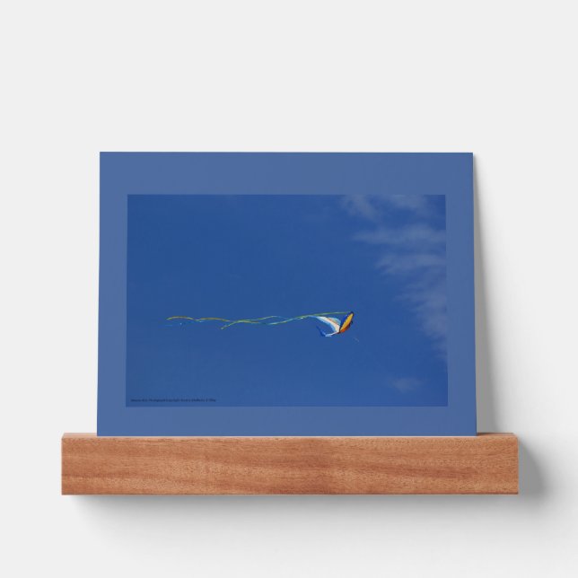 Macaw Kite Picture Ledge (Front)