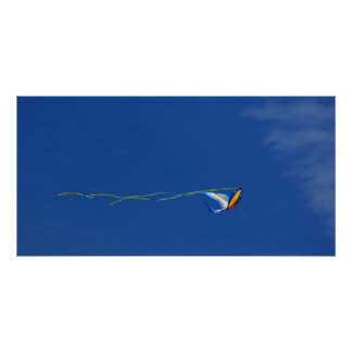 Macaw Kite Poster