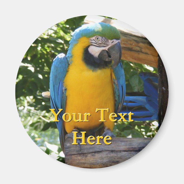 Macaw Magnet (Front)