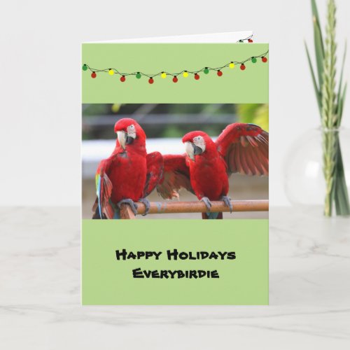 Macaw Pals Christmas Card envelopes included Holiday Card