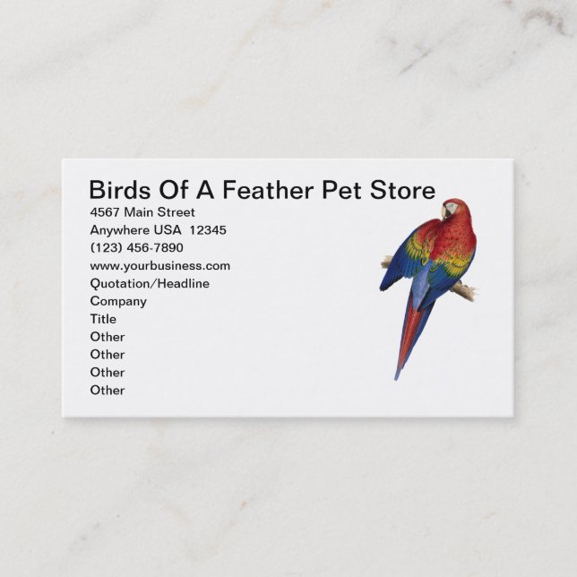 Macaw Parrot Bird Breeding Care Pet Store Business Card (Front)