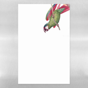 Macaw Parrot Bird Dry Erase Magnetic Sheet