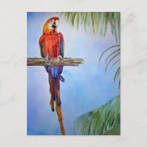 MACAW Parrot Bird Tropical Beach Theme Painting Postcard
