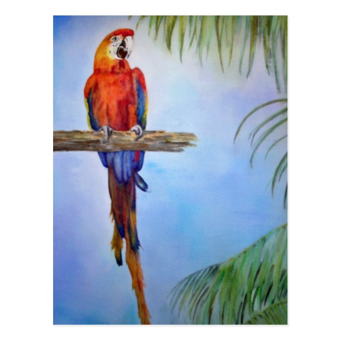 MACAW Parrot Bird Tropical Beach Theme Painting Post Cards