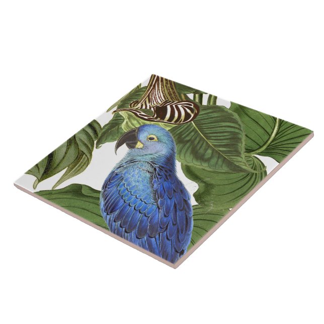 Macaw Parrot Bird Wildlife Animal Leaves Tile (Side)