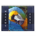 Macaw Parrot Blue Gold Scarlet Hyacinth 2024 Bird Calendar at Zazzle