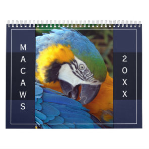 Macaw Parrot Blue Gold Scarlet Hyacinth 2024 Bird Calendar