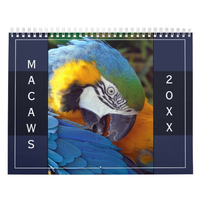 Macaw Parrot Blue Gold Scarlet Hyacinth 2026 Bird Calendar (Cover)