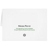Macaw Parrot - Card (Back Horizontal)