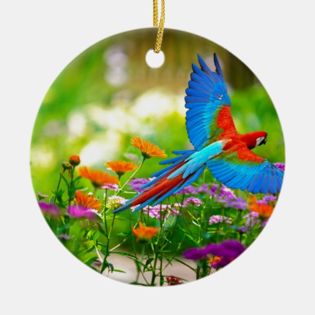 Macaw Parrot Ceramic Ornament (Front)