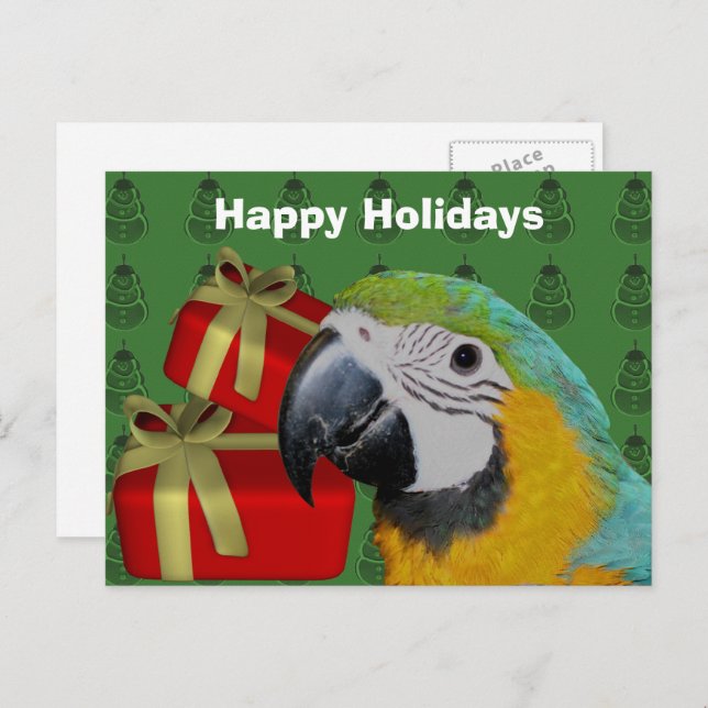 Macaw Parrot Christmas Holiday Postcard (Front/Back)